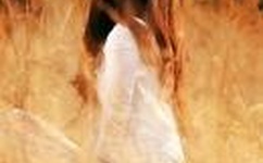 麻花传媒XK8046在线观看